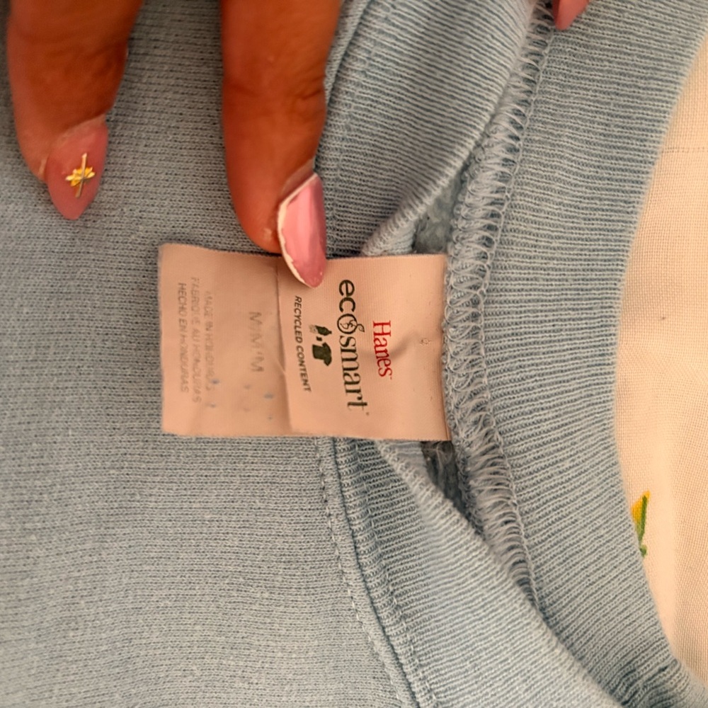 Hanes EcoSmart Women's Light Blue Crew Neck Sweater